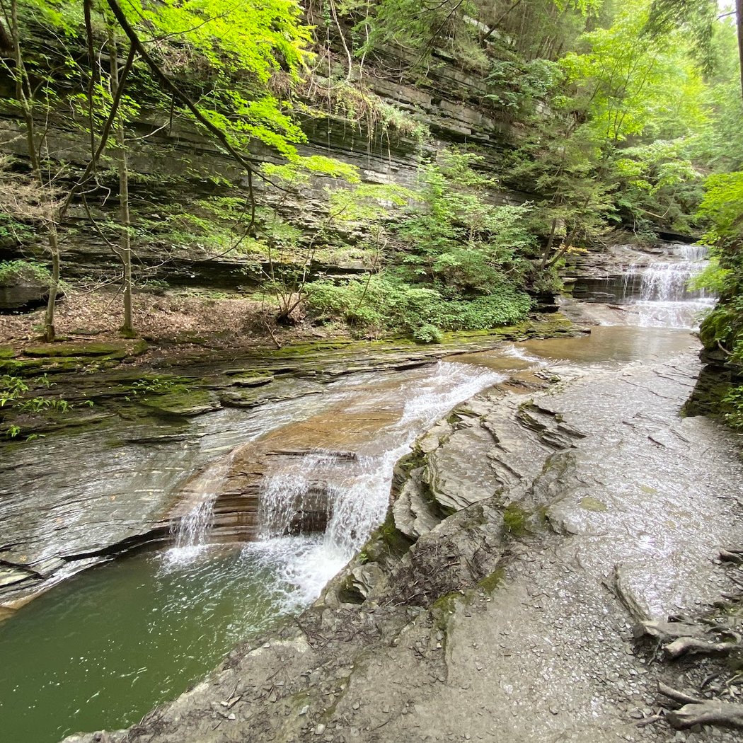 Gorge Trail 2