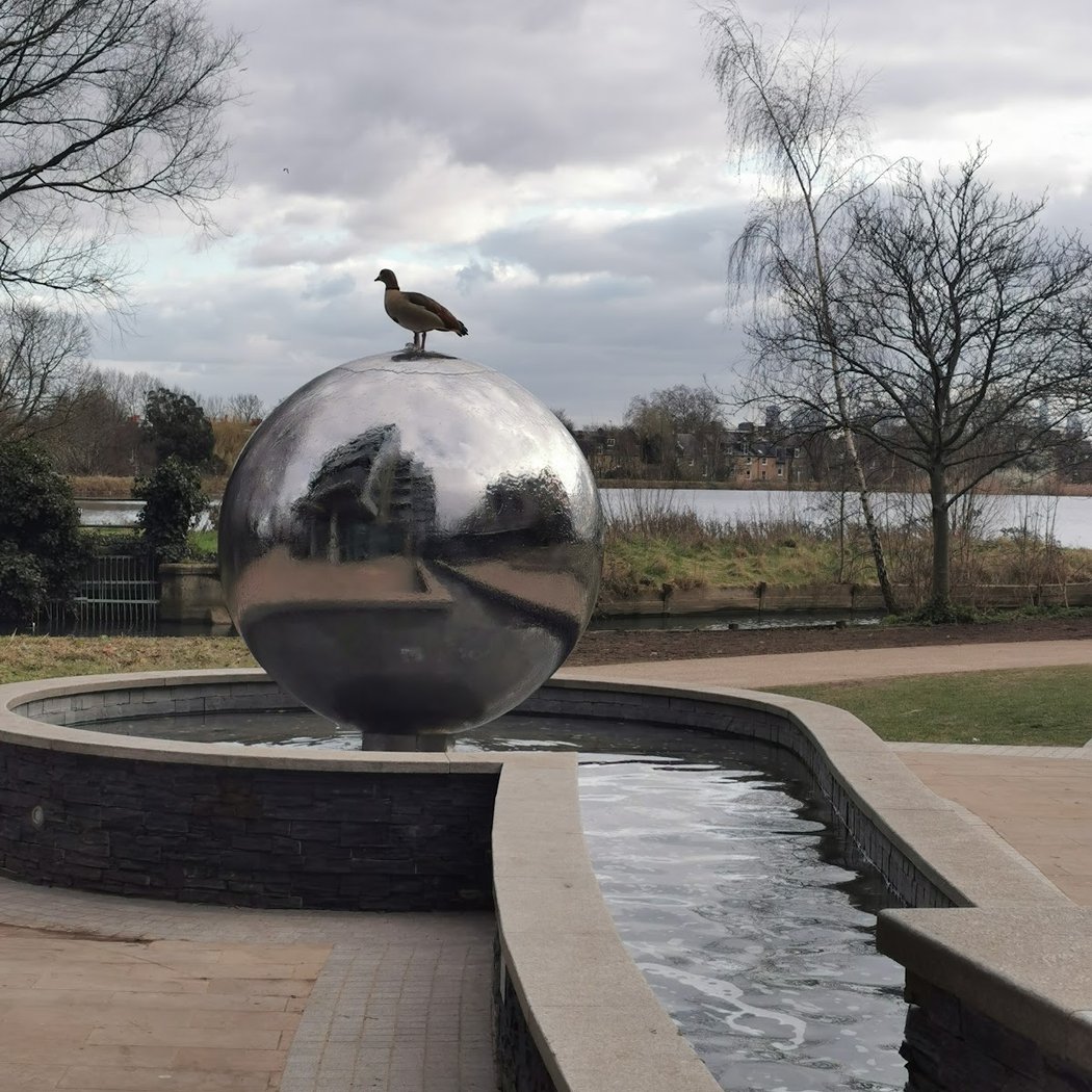 Woodberry Wetlands, London Wildlife Trust 3