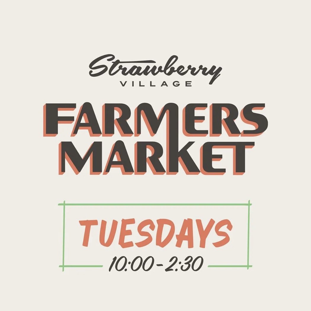Marin's Weekly All-Local, All-Organic Farmers Market 1