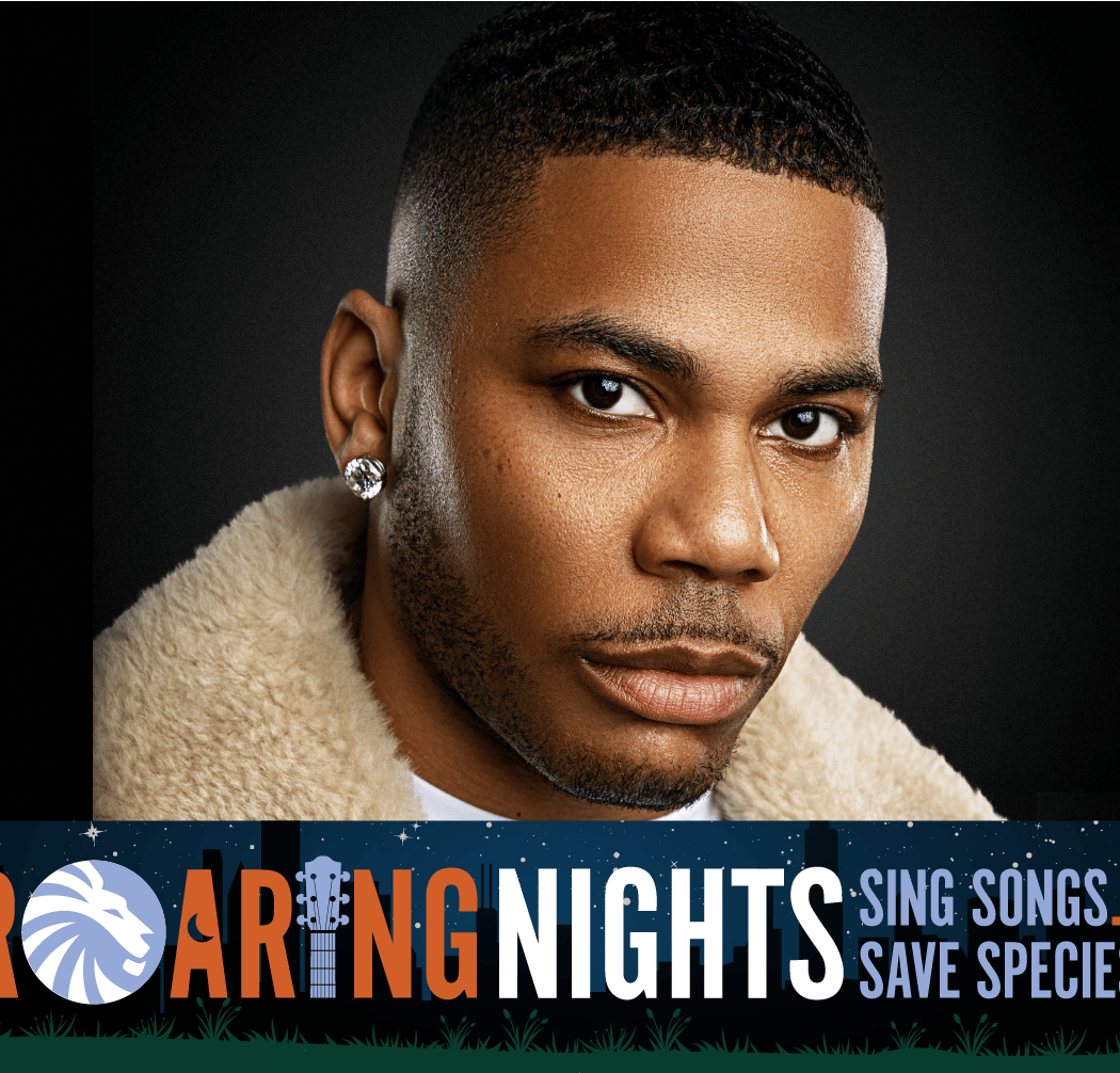 Nelly at Roaring Nights 1