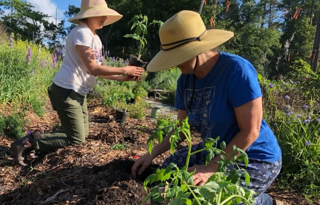Fall Vegetable Class 2