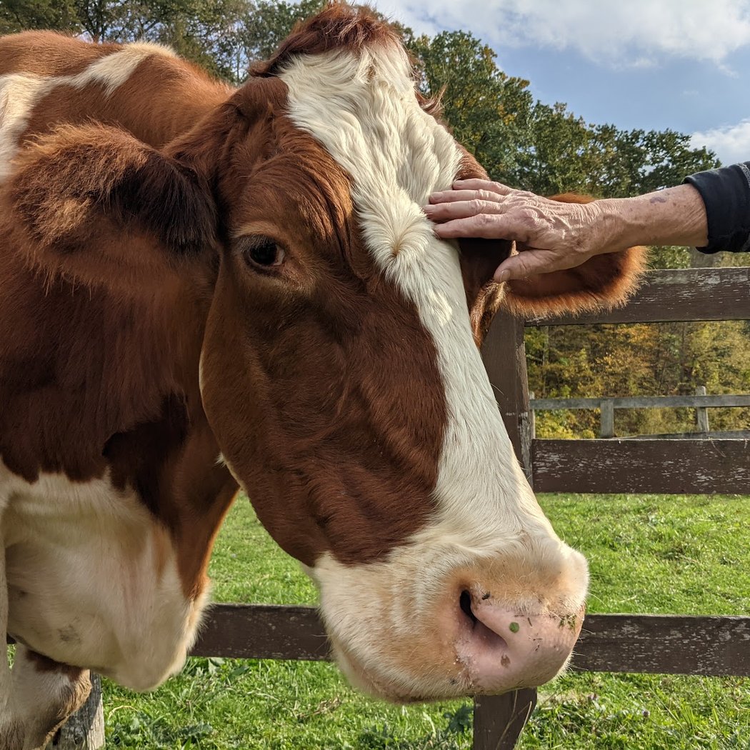 Catskill Animal Sanctuary 1
