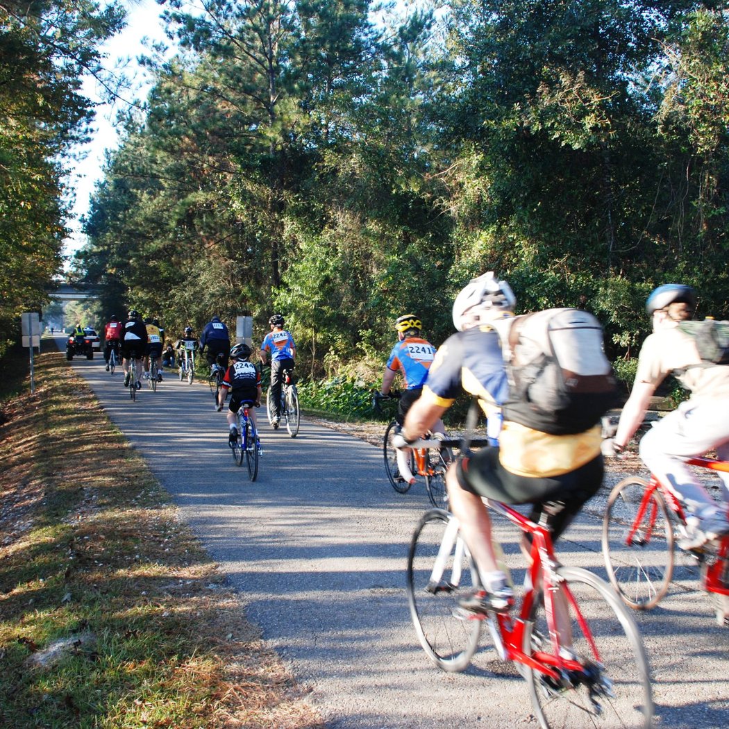 Tammany Trace Bike Trail 1