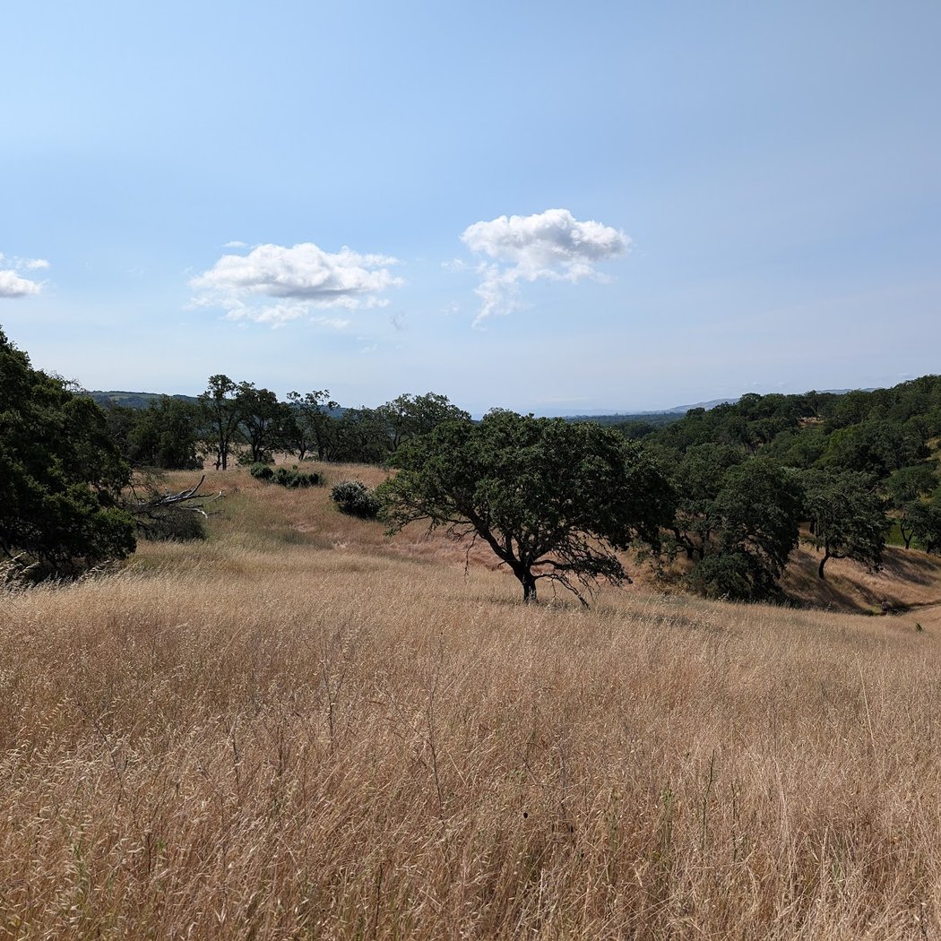 Walk for Wellness: Exploring Nature and Chronic Pain Support 3