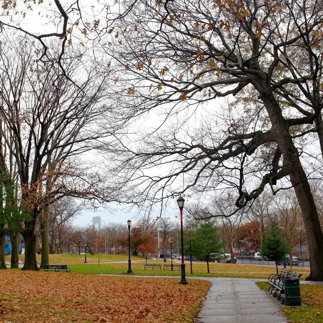 It's My Park 2