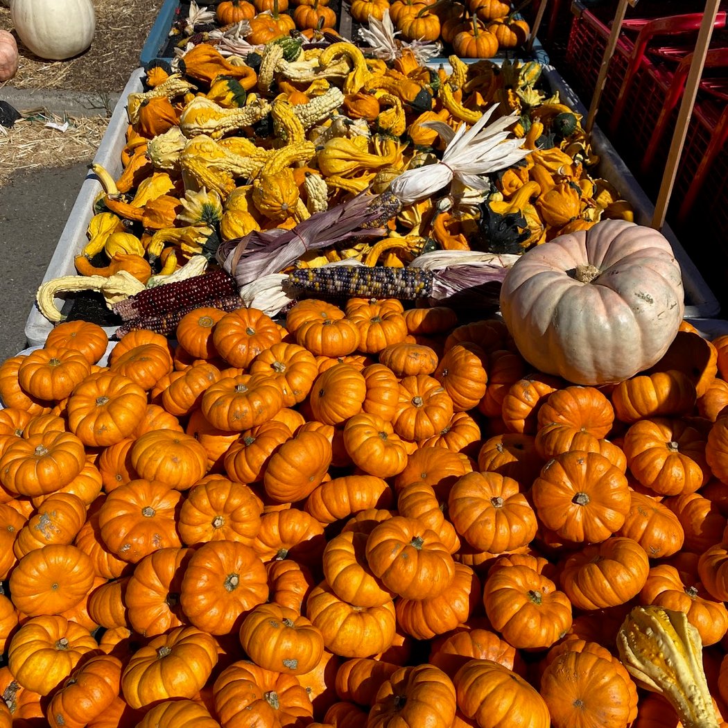 Windmill Farms Produce 1