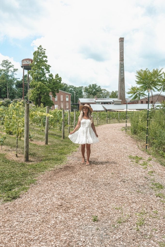 City Winery Hudson Valley 2