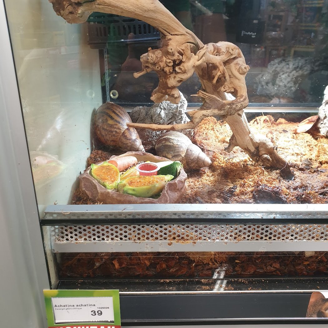 Maxi Zoo Saint-Herblain 3