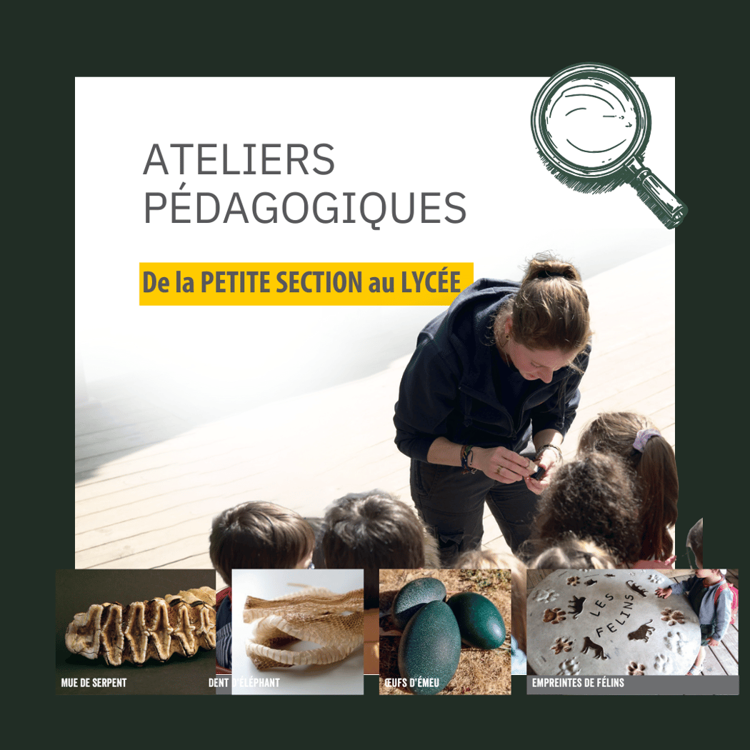 Ateliers Pédagogiques 1