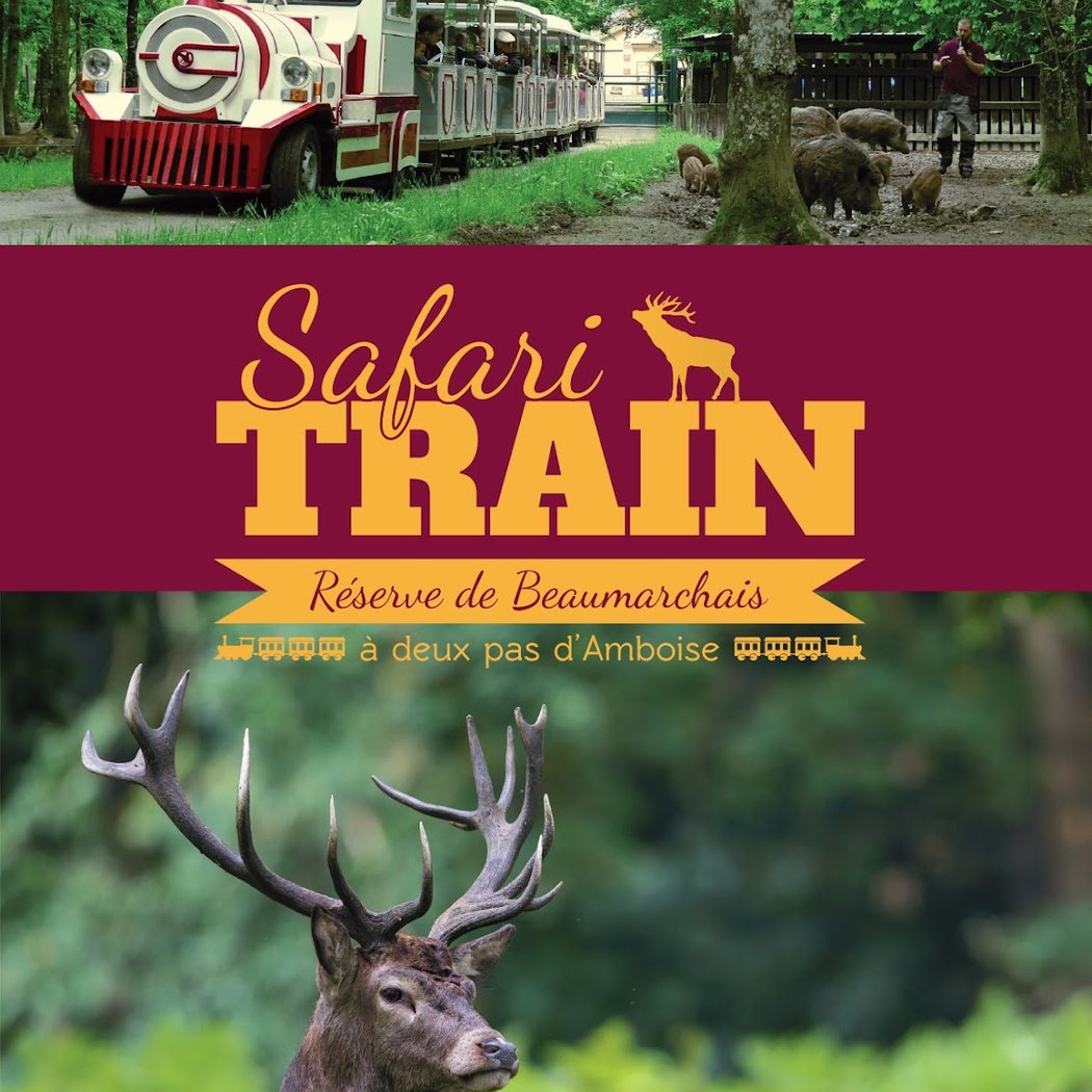 Safari Train 1