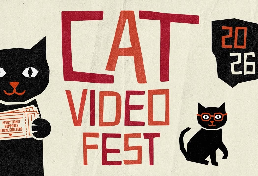 CatVideoFest 2026 3