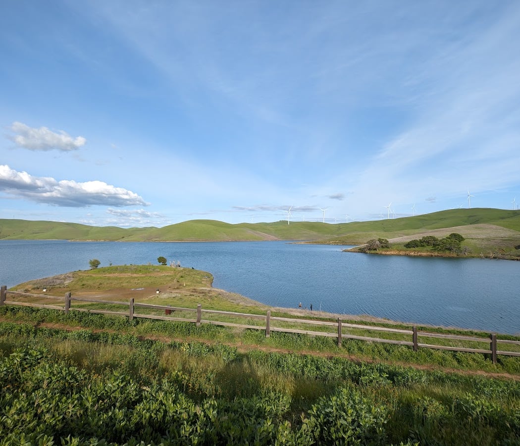 Field Trip to Los Vaqueros Watershed 3