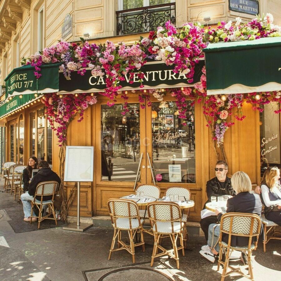 Café Ventura 2