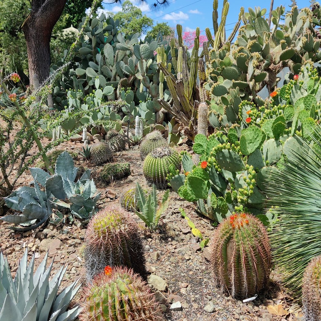 Botanical Bash 2