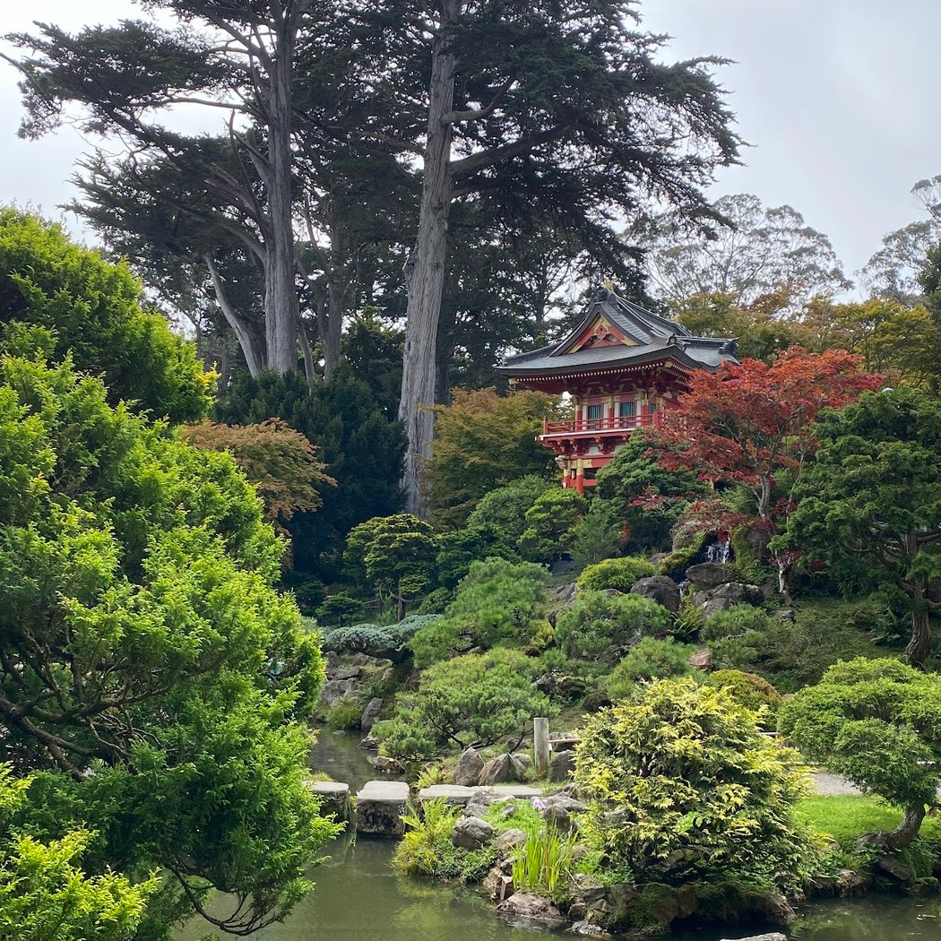 Japanese Tea Garden's Free Admission Hour 3