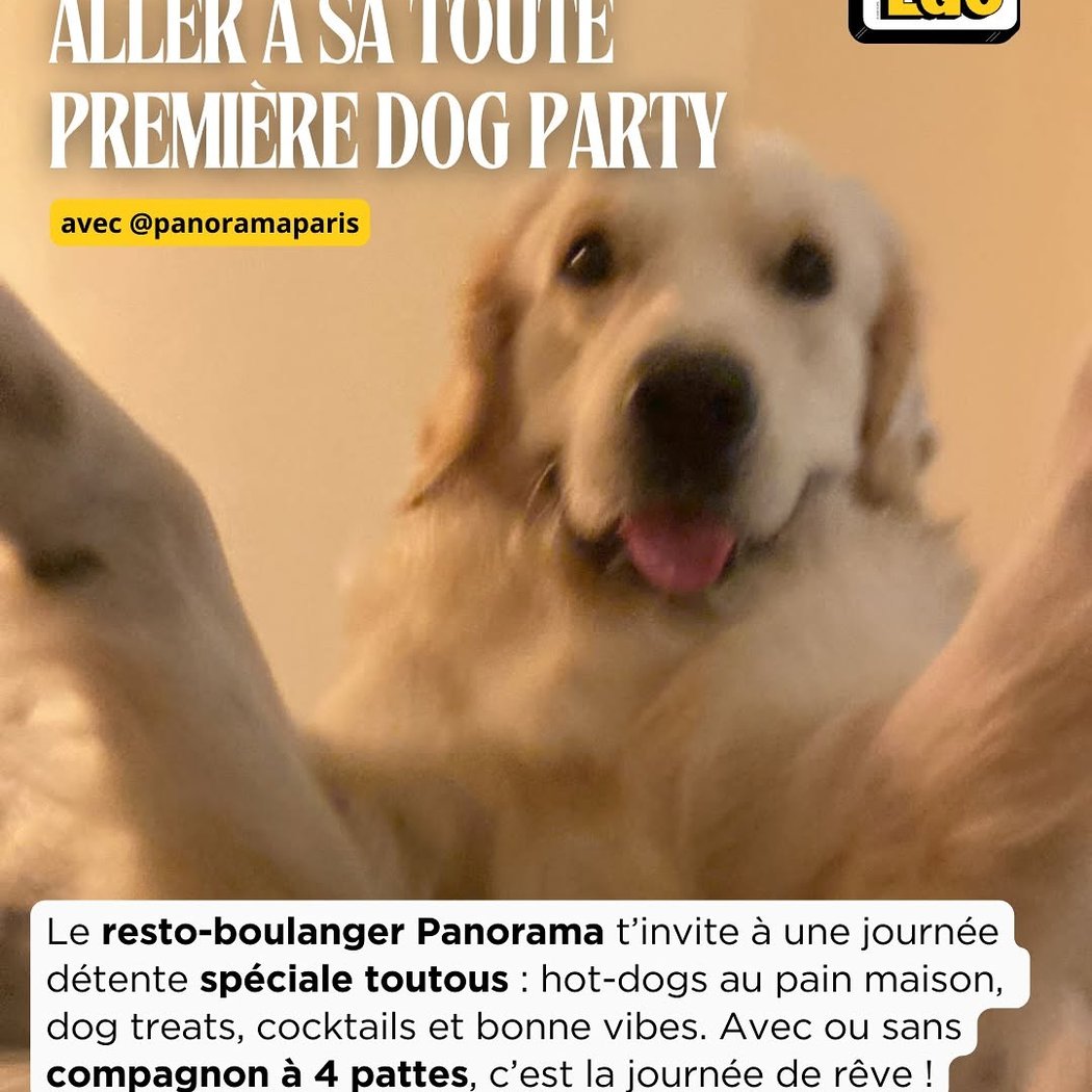 Dog Party #1 1