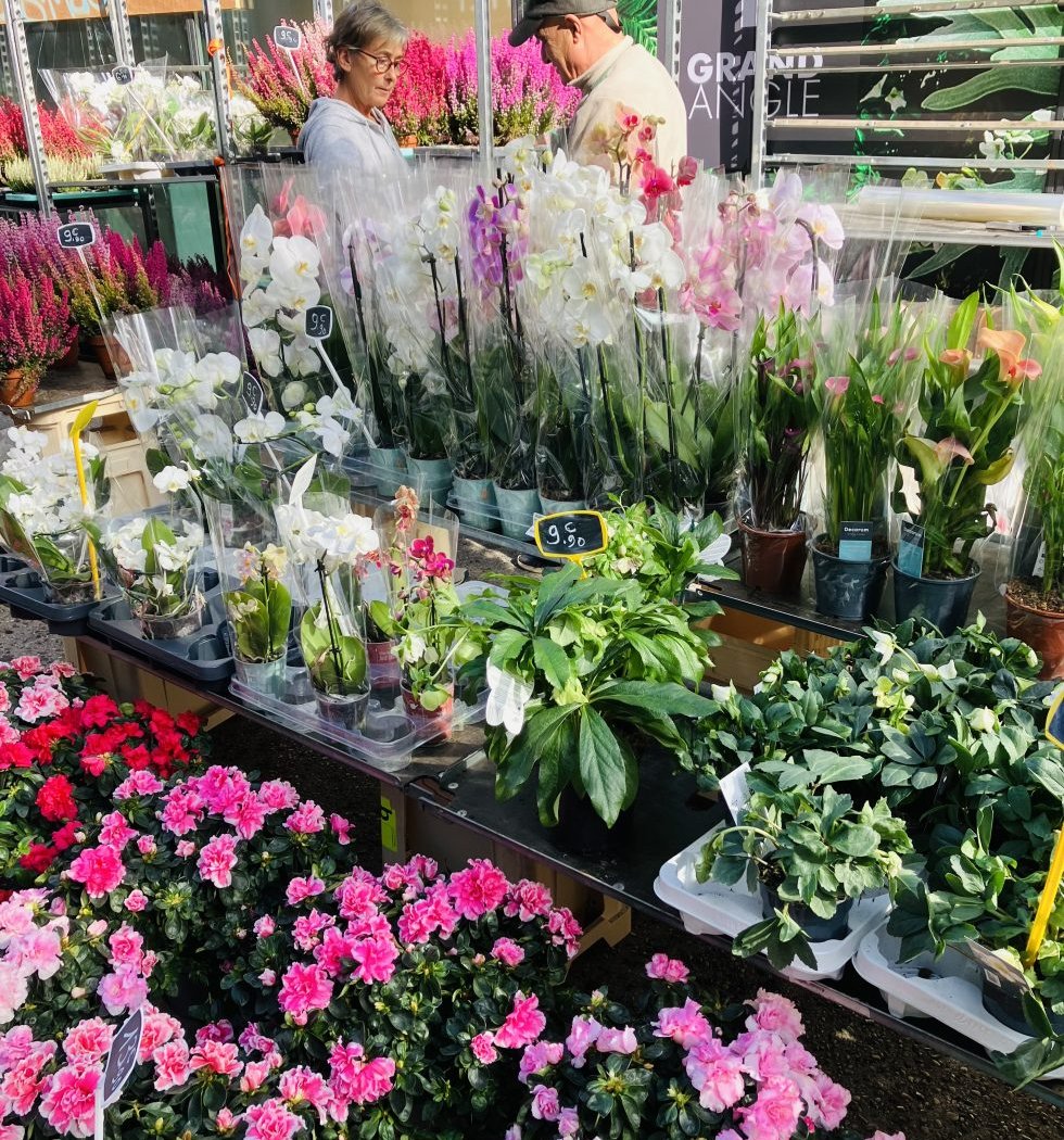 Marché aux Fleurs de Villeneuve la Garenne 1