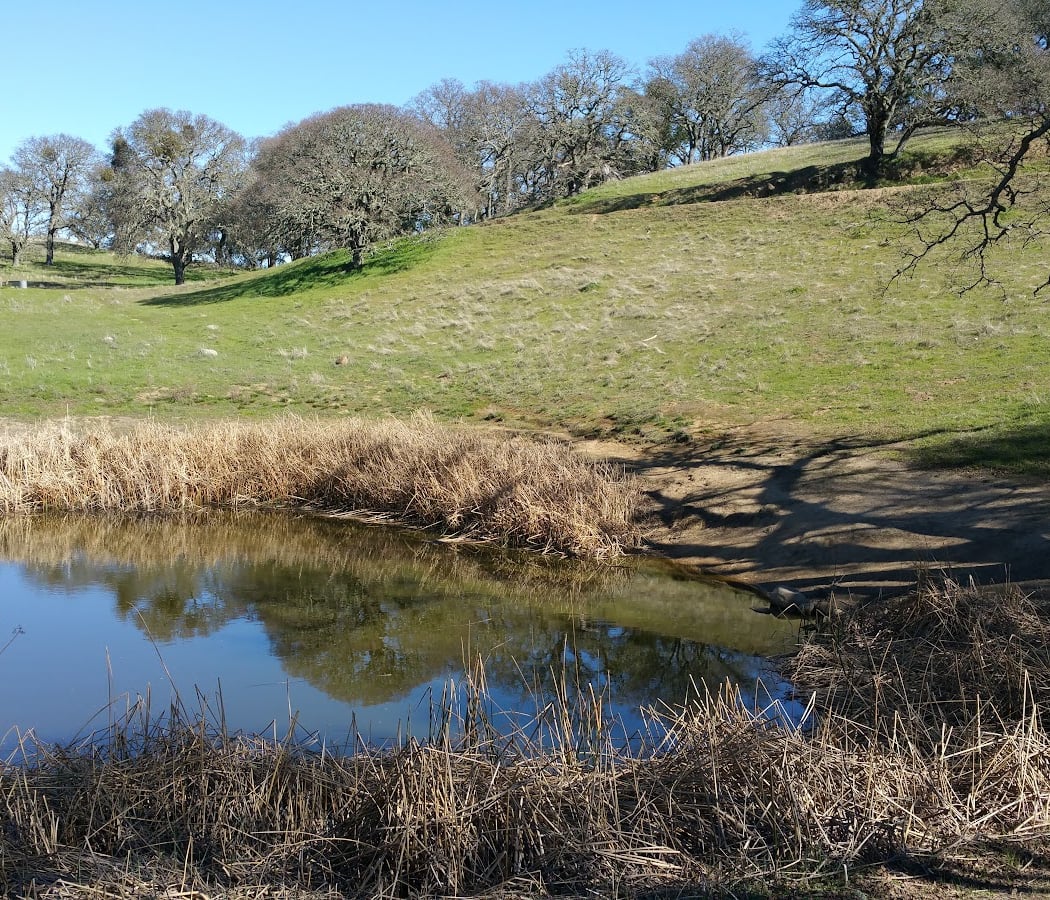 Augustin Bernal Park 3