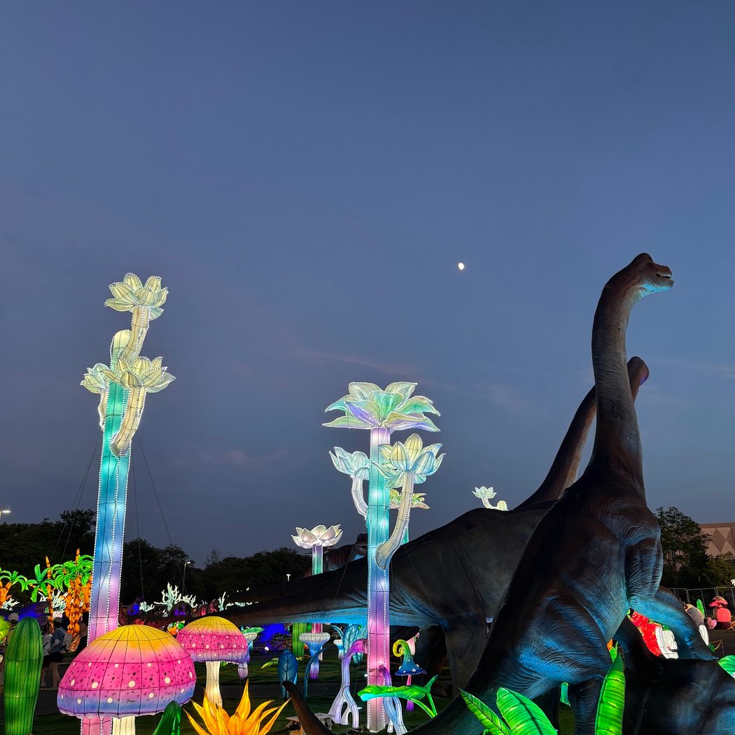 Dino Safari 1