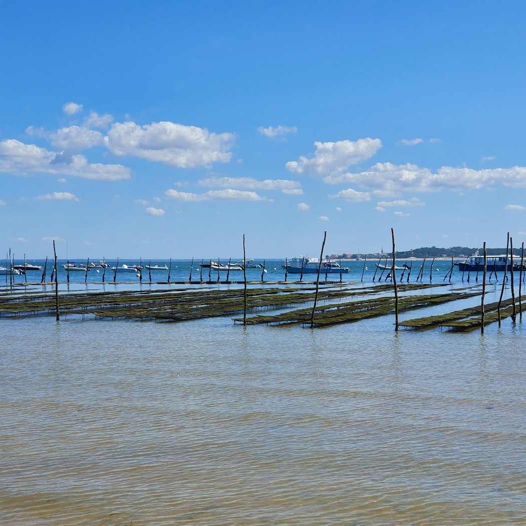 Bassin Arcachon Croisière 3