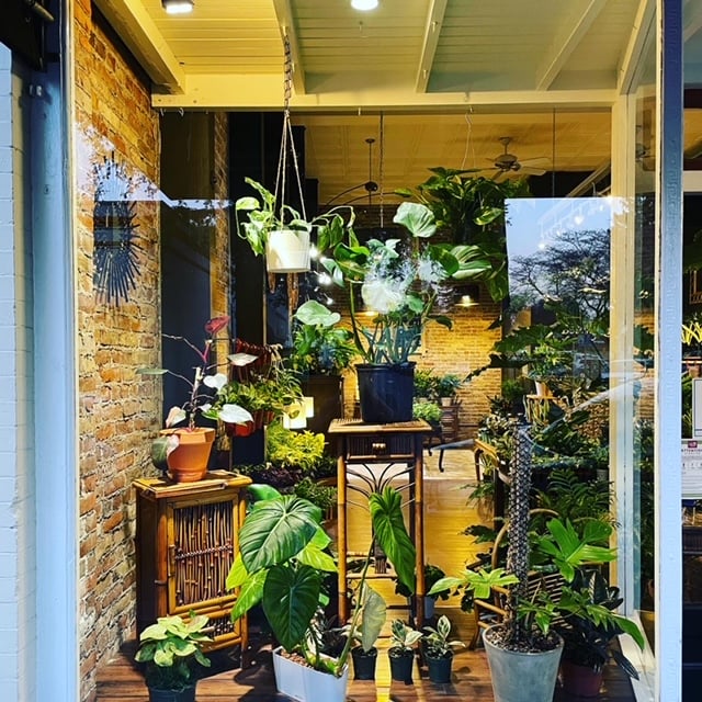 Botany Zhi ( house of botanicals) 3
