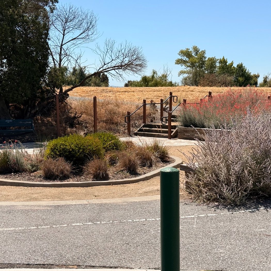 Coyote Creek Trail 3