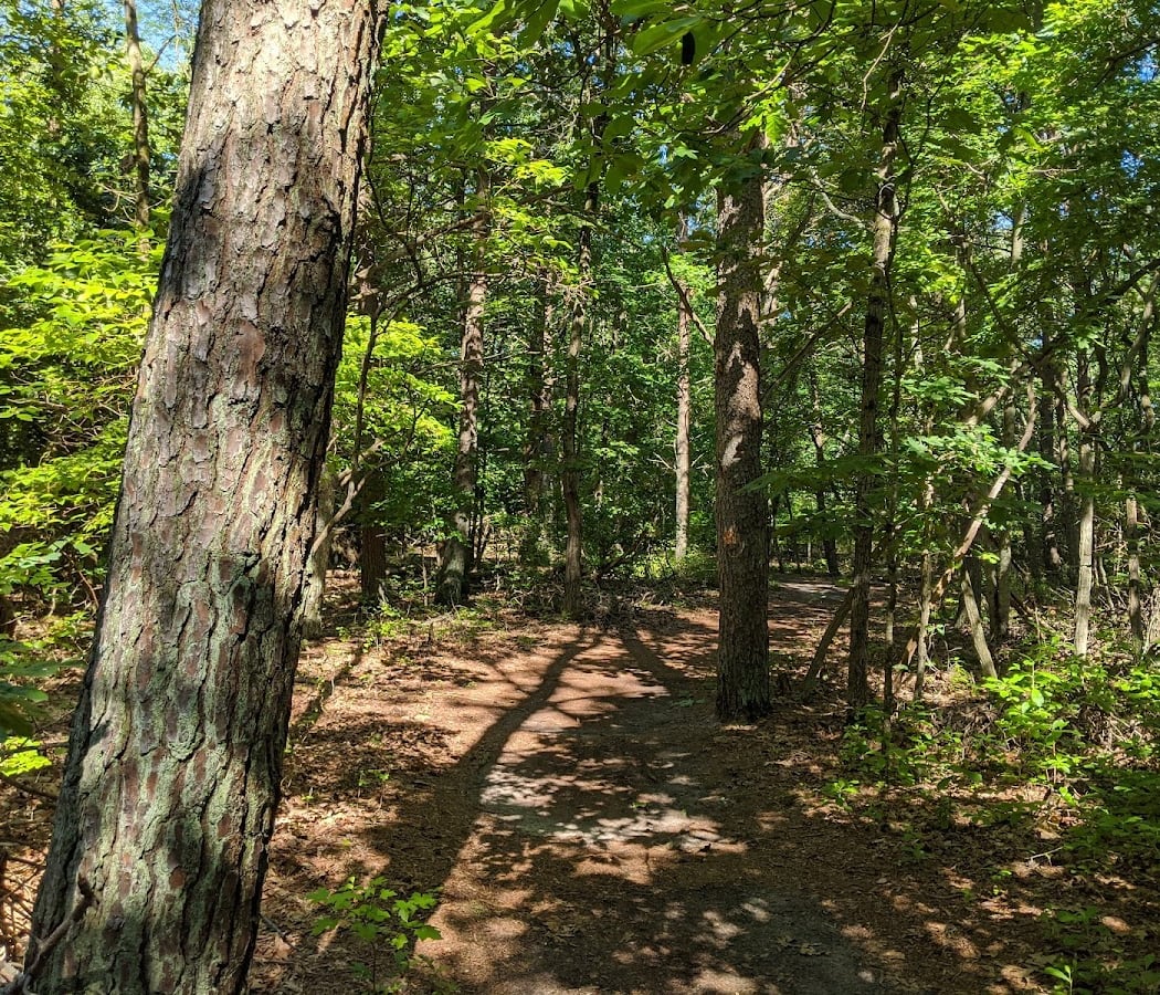 Long Bridge Park 2