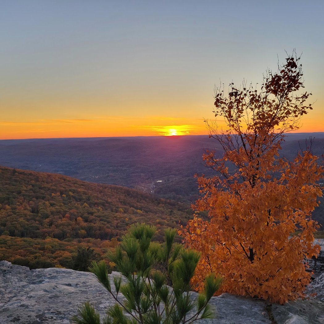 Bear Hill Nature Preserve 2