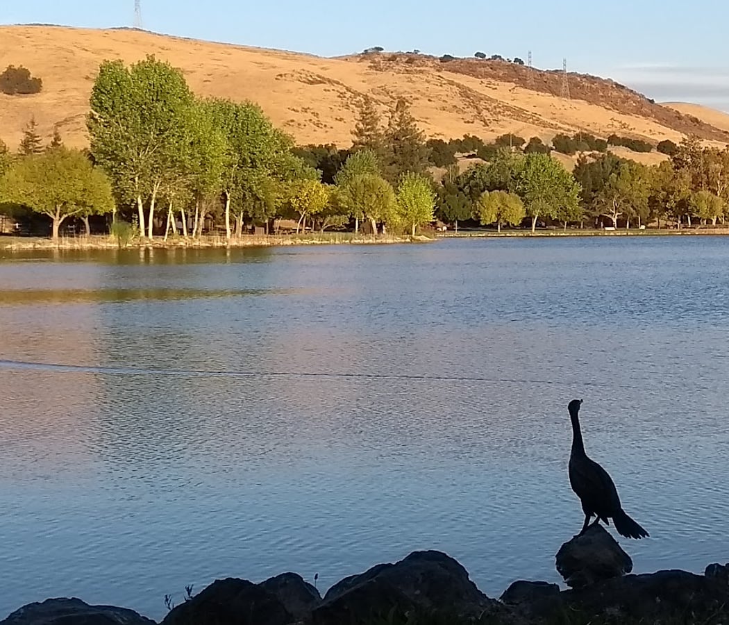 Coyote Creek 1