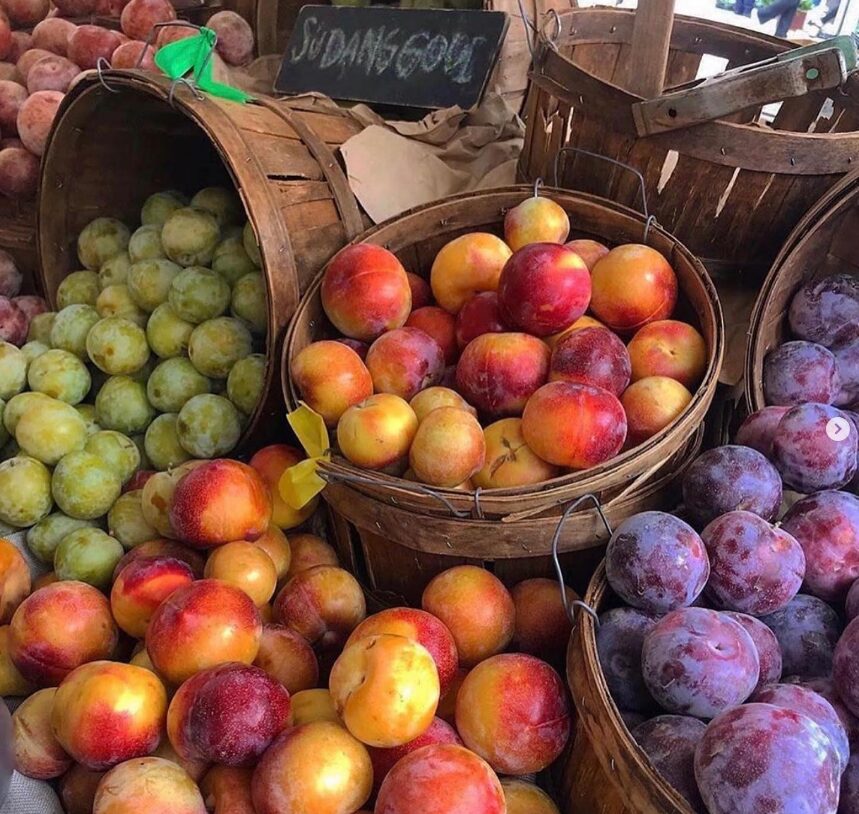 Mar Vista Farmers' Market 1