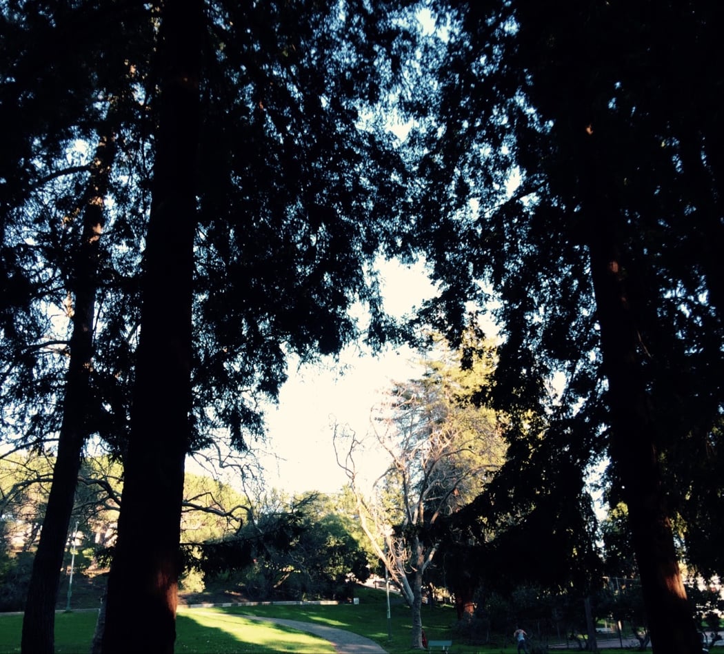 Dimond Recreation Center 2