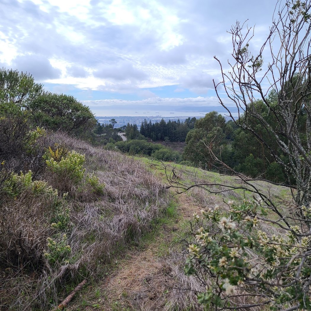 Seaview Trailhead 3