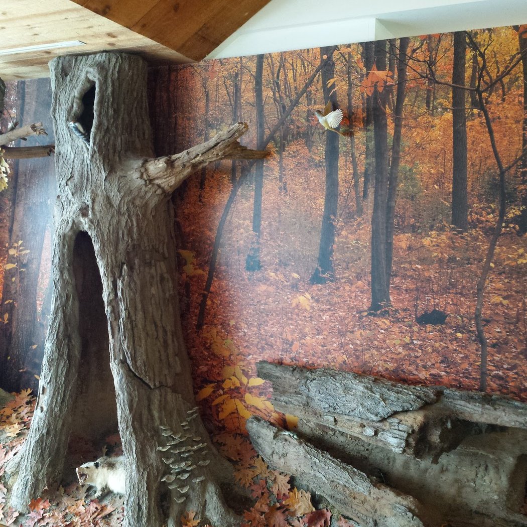 South Fork Natural History Museum & Nature Center 3