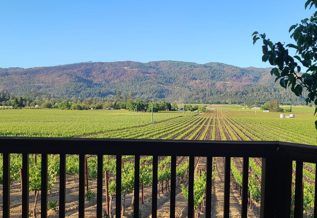 Kenefick Ranch Vineyard & Winery 3
