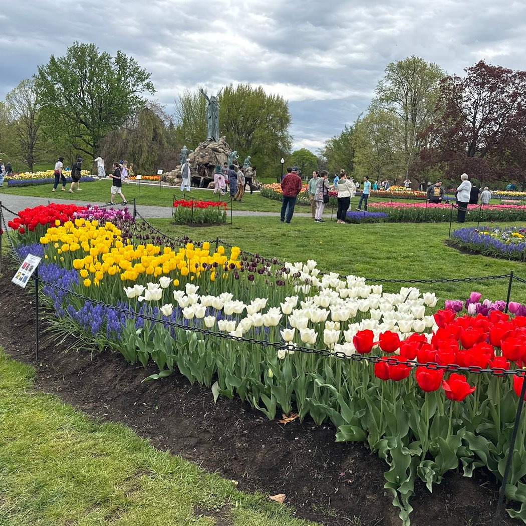 TulipFestival 2