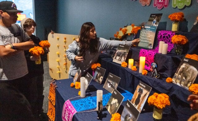 Ofrenda