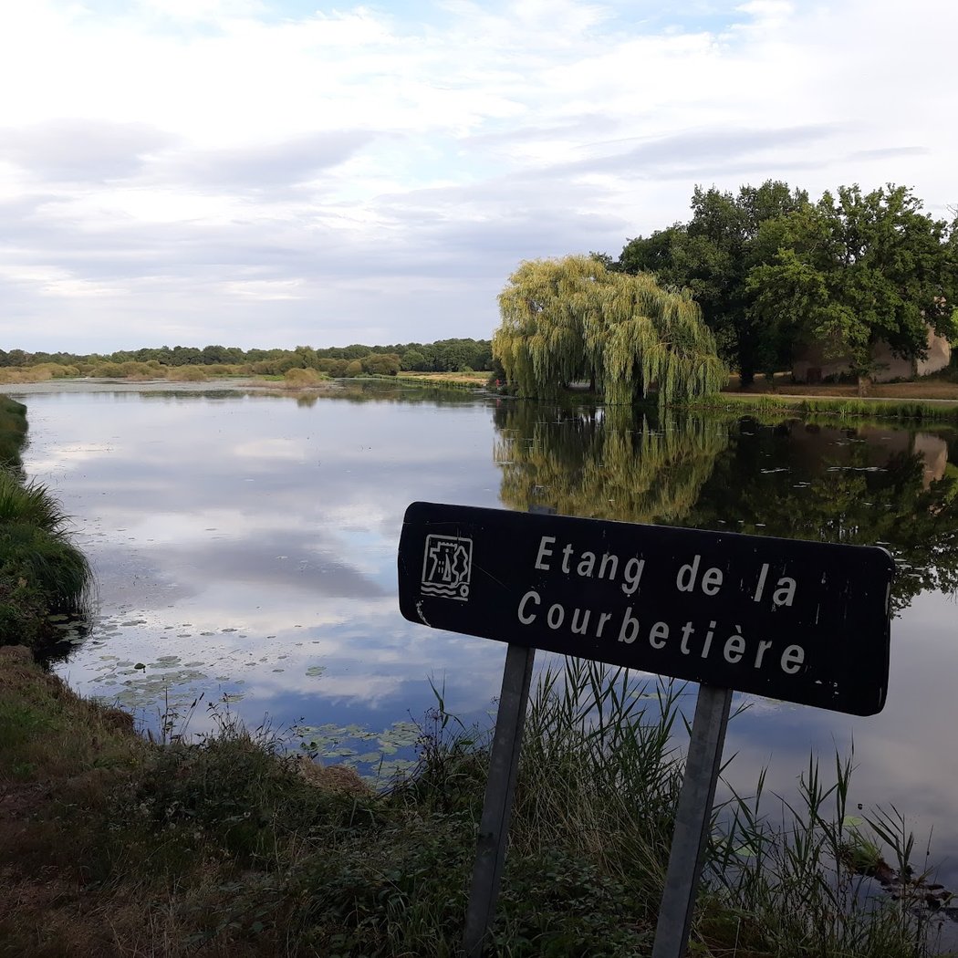 Visite hivernale à l'étang de la Courbetière 1