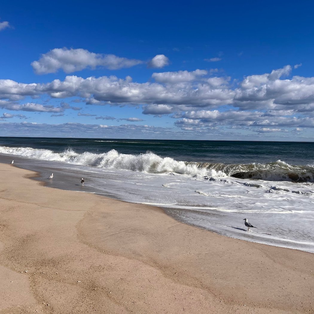 Cryder Beach 1