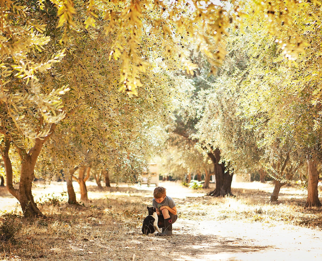 Open Farm Days at Soulfood Farm 1