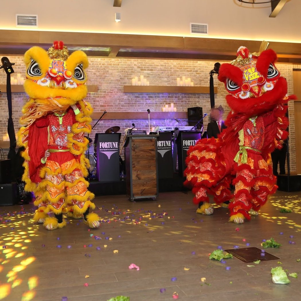 Wan Chi Ming Hung Gar Institute Dragon And Lion Dance Team 3