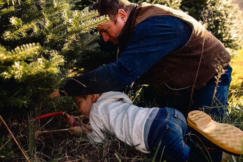 Hillside Christmas Tree Farm 1