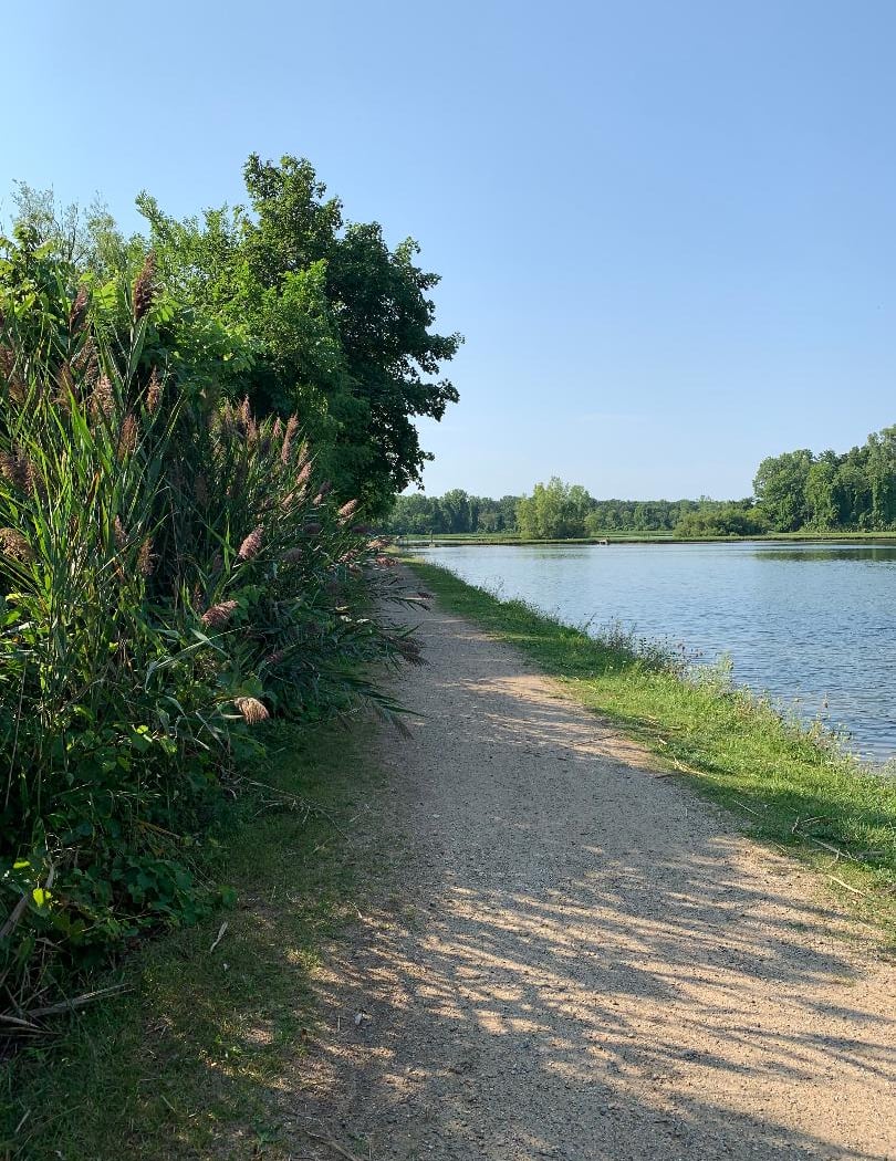 Drayton Plains Nature Center 2