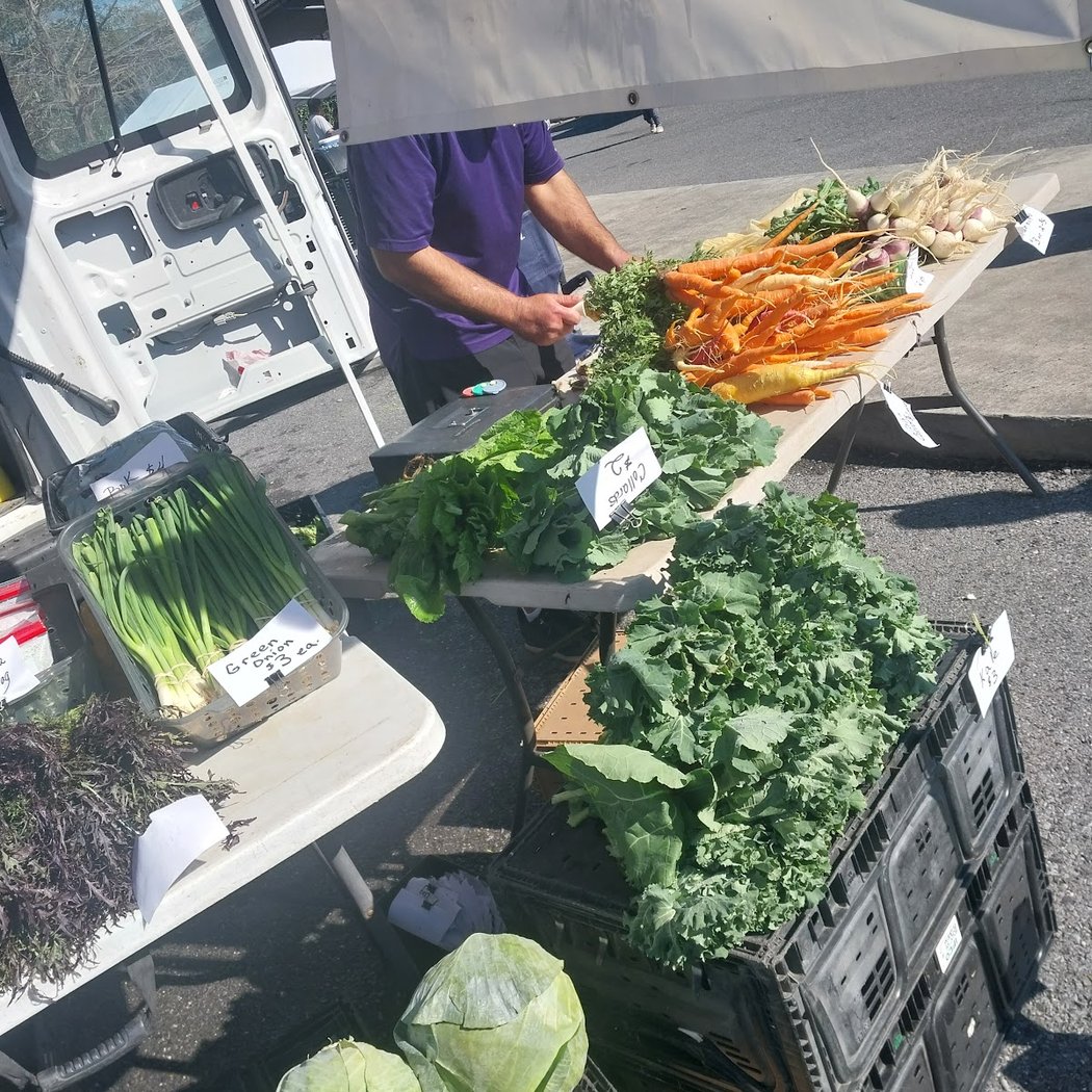 Crescent City Farmers Market at City Park 1