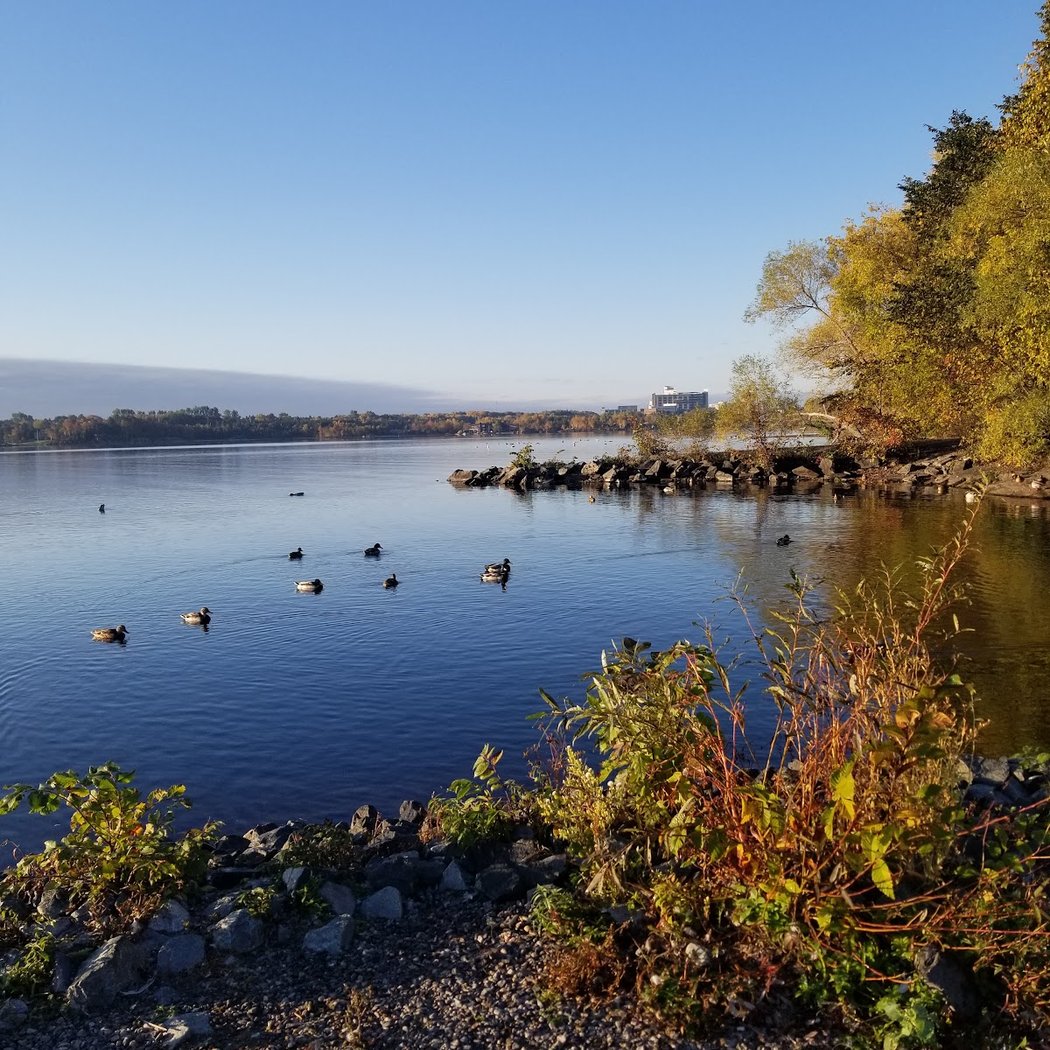Bell Park Main Beach 3