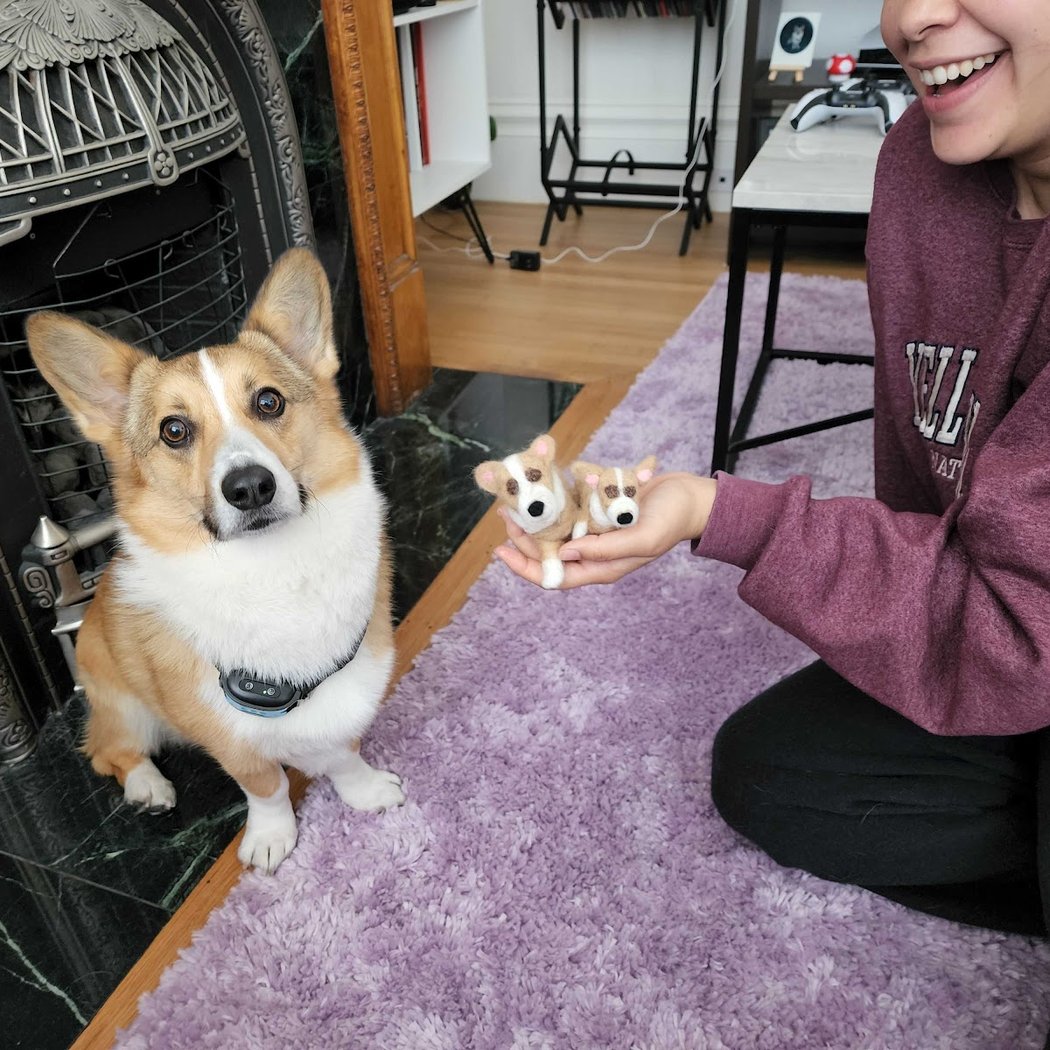 Needle Felting Your Pet Class 1