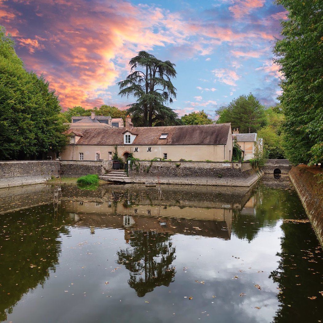 Park Marmouzets 1