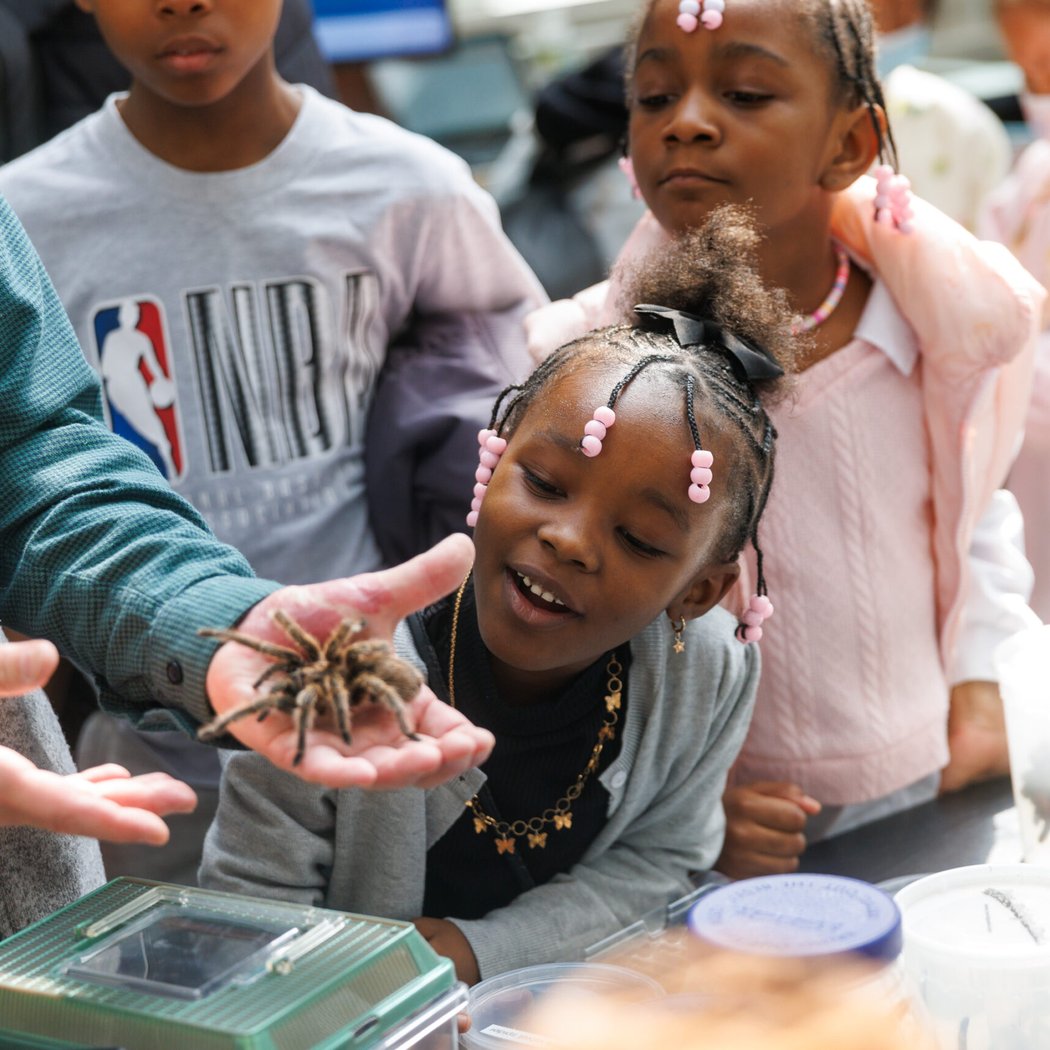 Volunteer for Earth Day at the KoKo Lot 1