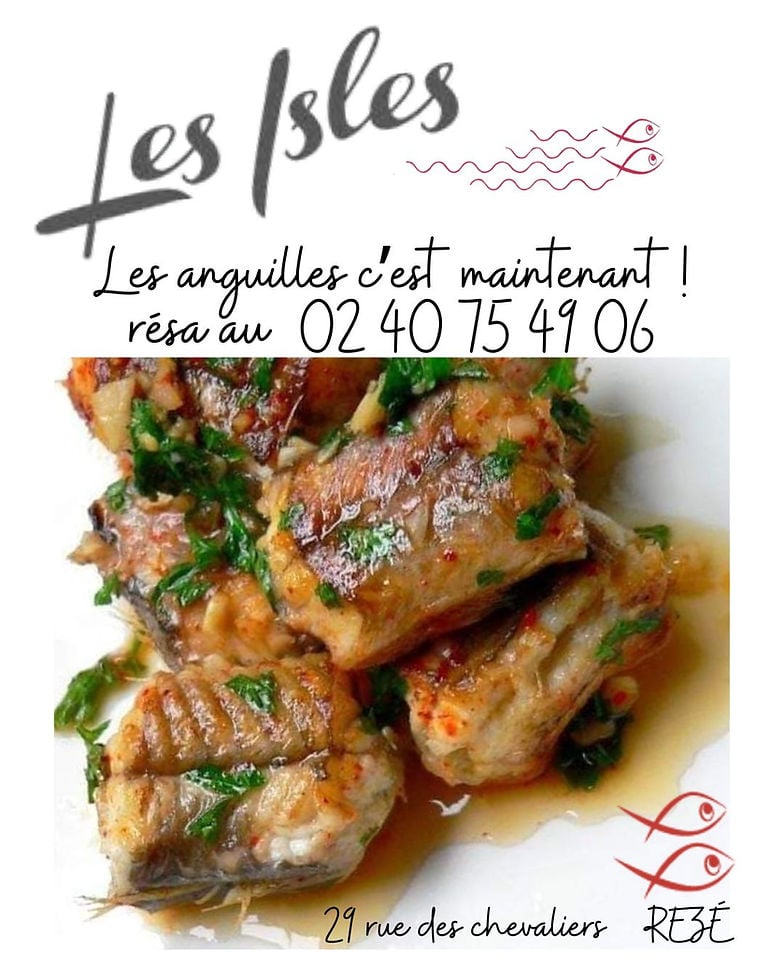 Anguilles de Loire les jeudis et vendredis soir de novembre 1