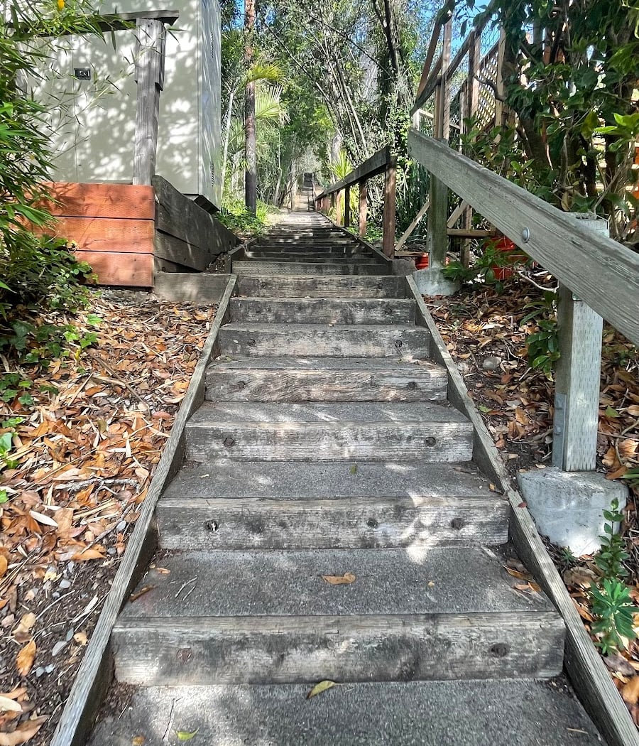 Mill Valley Steps #49 3