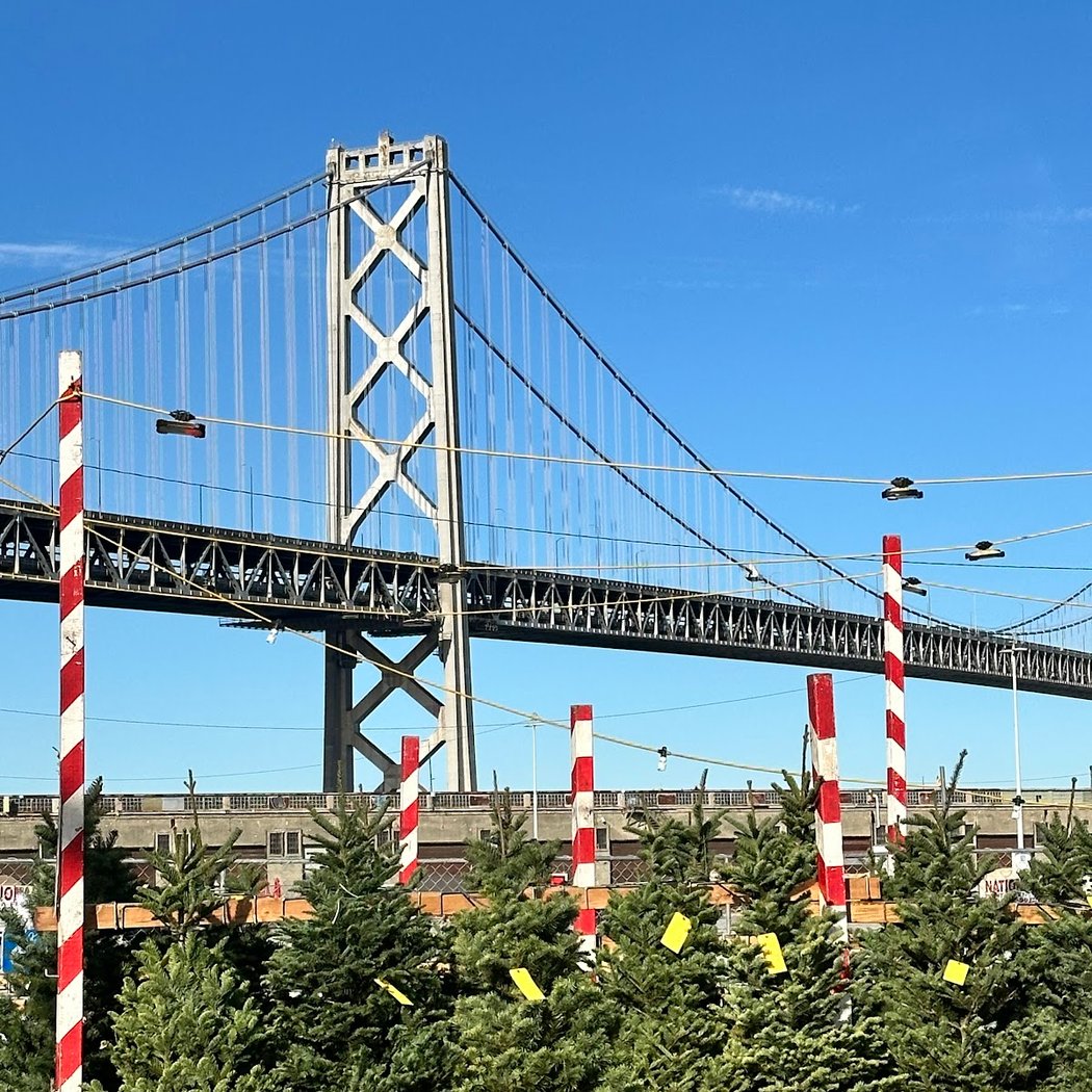Delancey St Fdtn Christmas Tree Lot (Seasonal) 1